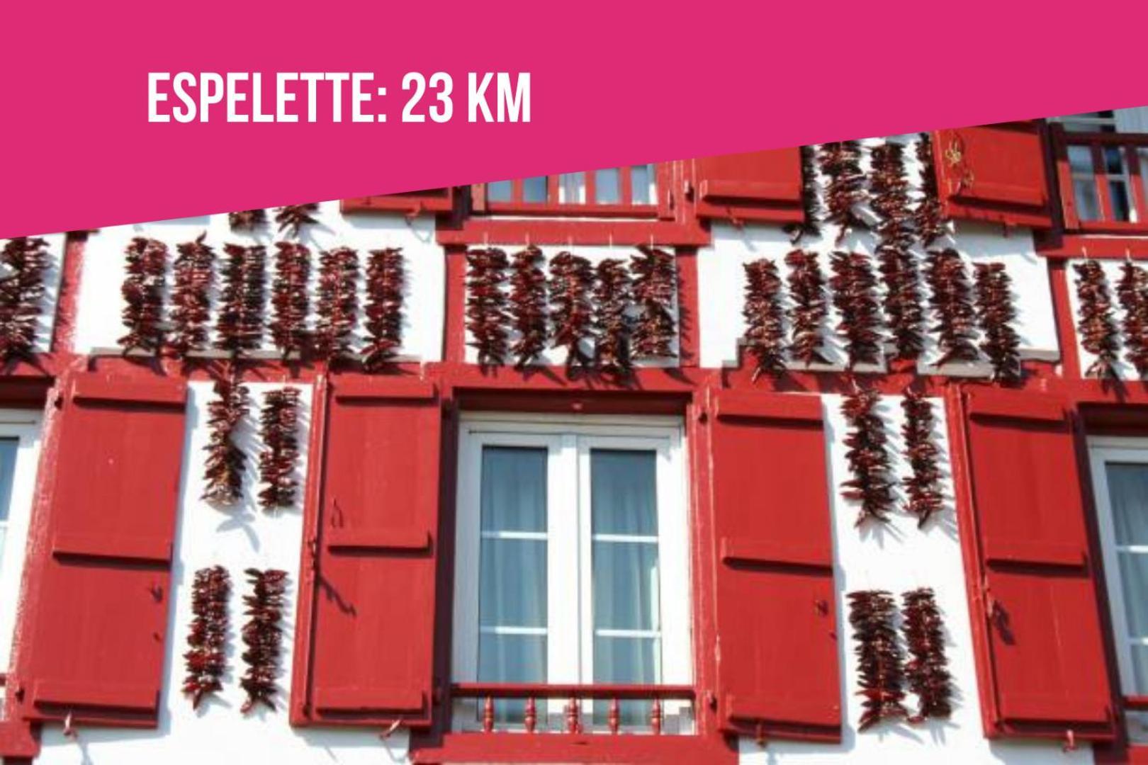 Ilbetea - Ideal Couple - Duplex Tout Confort - Plage A 400 M - Parking Saint-Jean-de-Luz Exterior foto